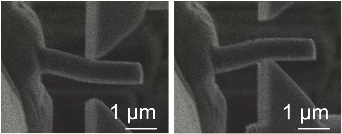 電子顕微鏡画像