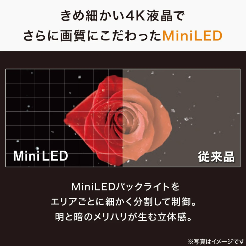 きめ細かい4K液晶とMiniLEDバックライトで画質を追求した製品の紹介。MiniLEDによる明暗のメリハリと立体感を、バラの画像で従来品と比較説明しています。