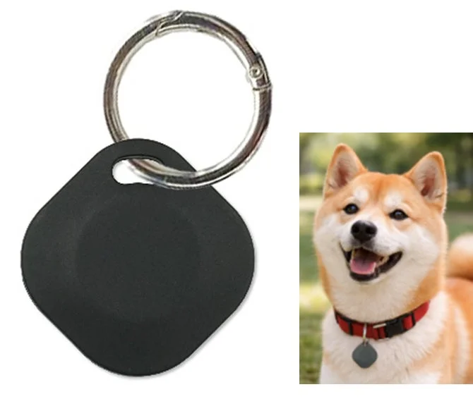 タグ型スマートファインダーと柴犬