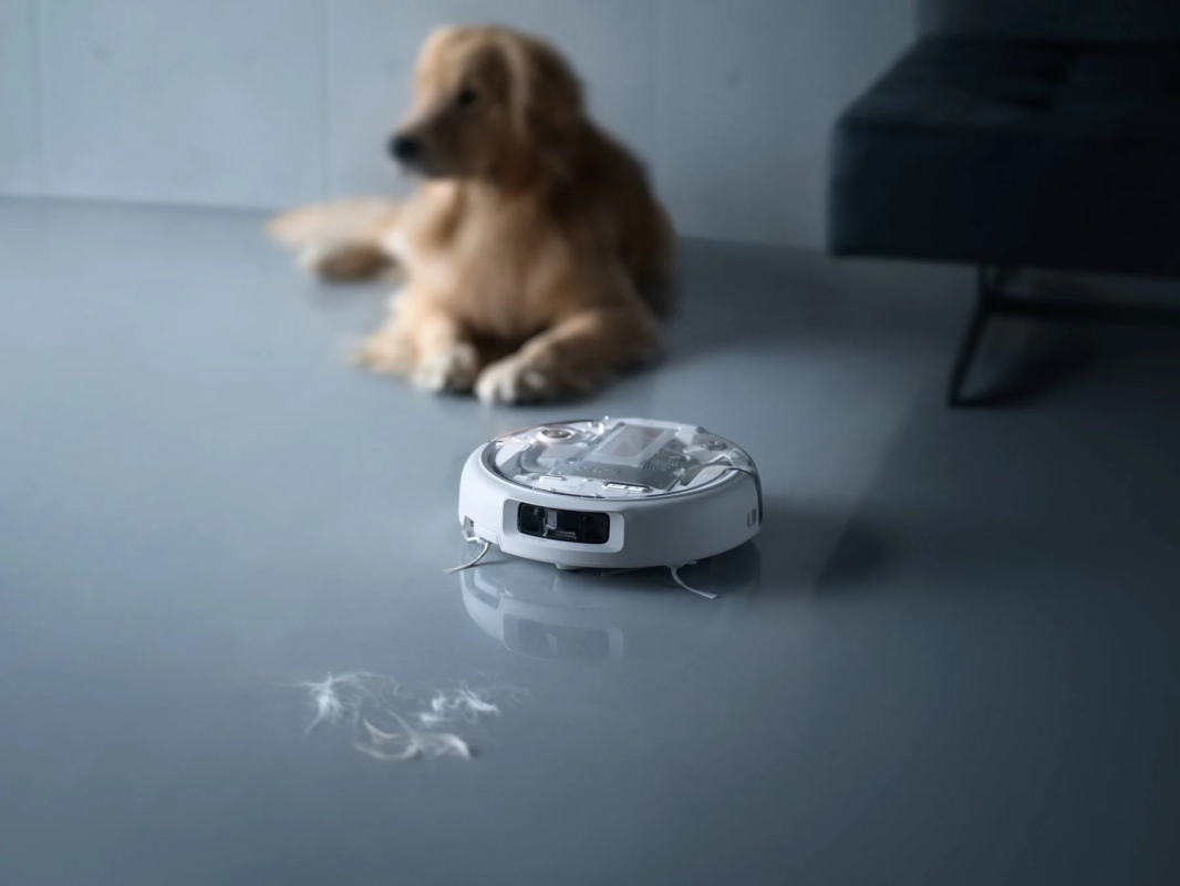 ROMOとペットの毛