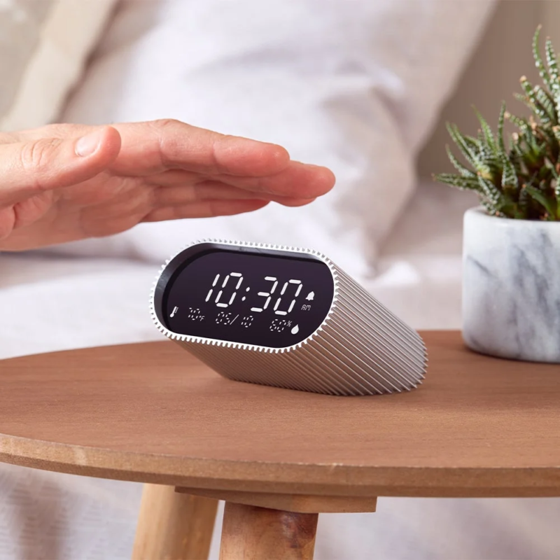 Ray Clockと観葉植物