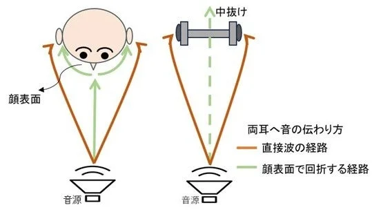 音源から両耳へ音が伝わる経路を比較して示しています。