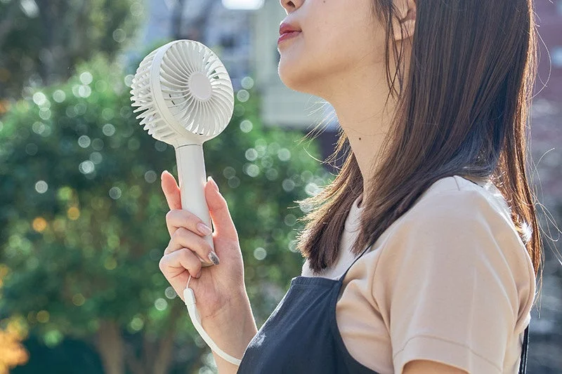 ハンディファンの使用例