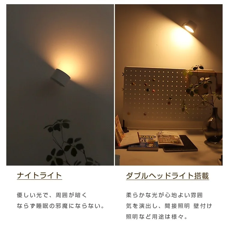 デュアルライト構造