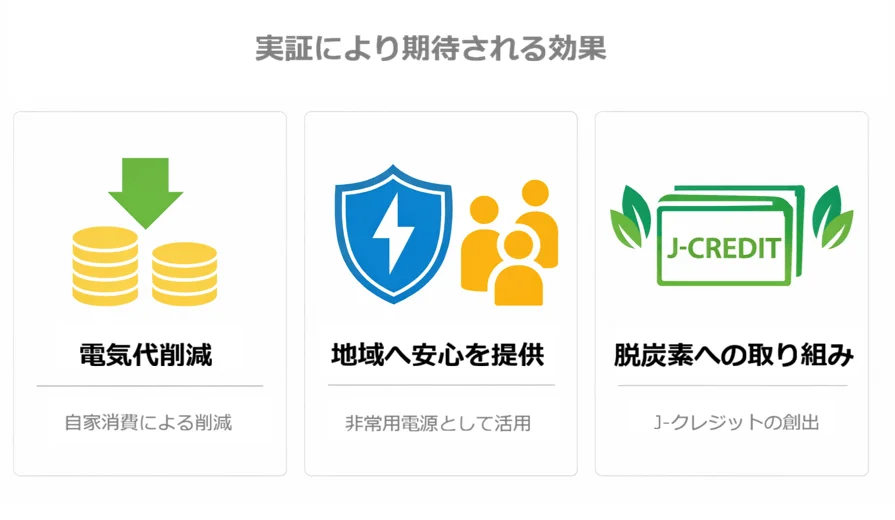 実証により期待される効果