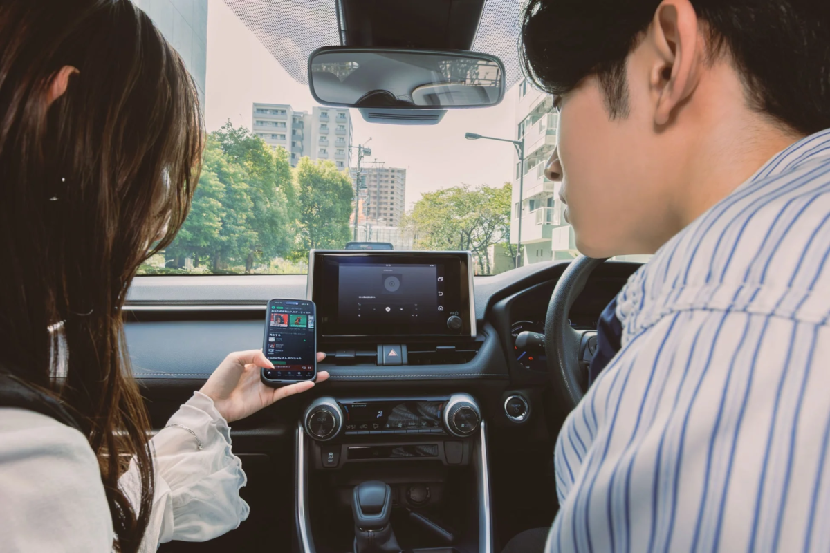 車内で楽しむカップル