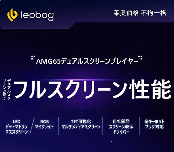 AMG65デュアルスクリーンプレイヤー