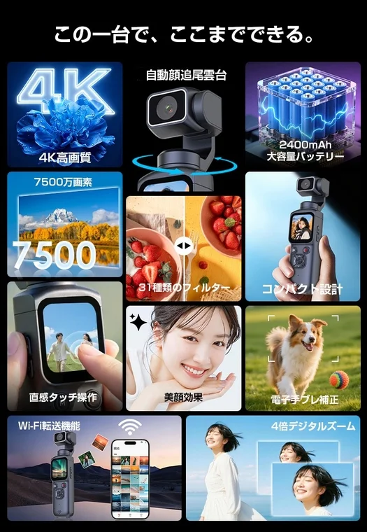 多機能性