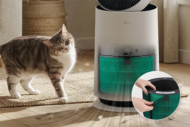 猫と空気清浄機のフィルター