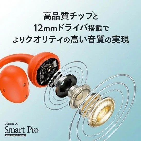 高音質チップと12mmドライバ
