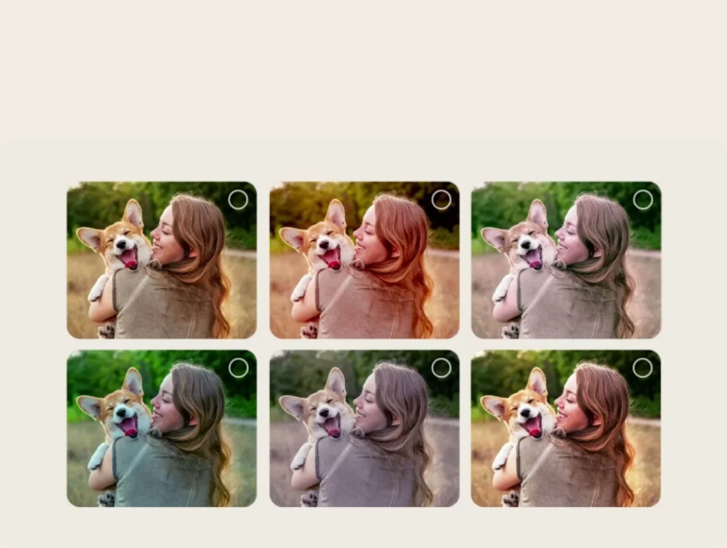 女性と犬のグリッド写真 - AIパーソナライゼーションのイメージ