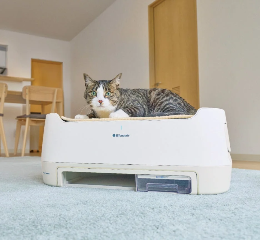 キジトラの猫がBlueairの白い空気清浄機の上でくつろいでいます