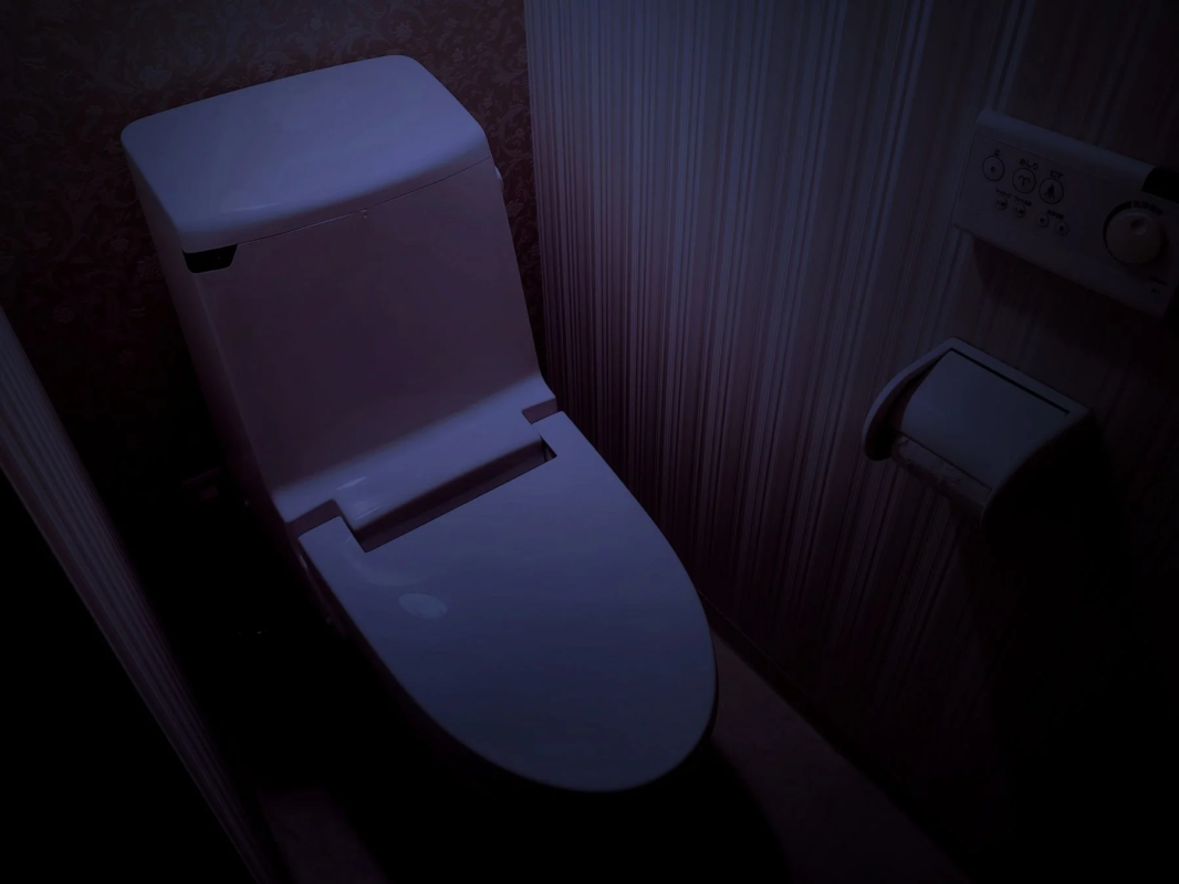停電時の暗いトイレの様子