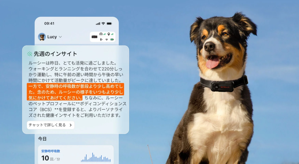 SATELLAI Sense AIのインサイト表示例